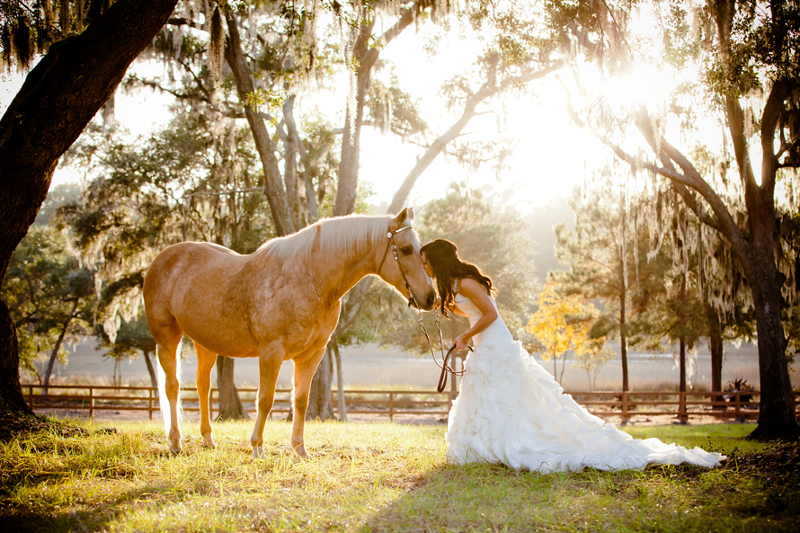 horse_bridal_040313-040