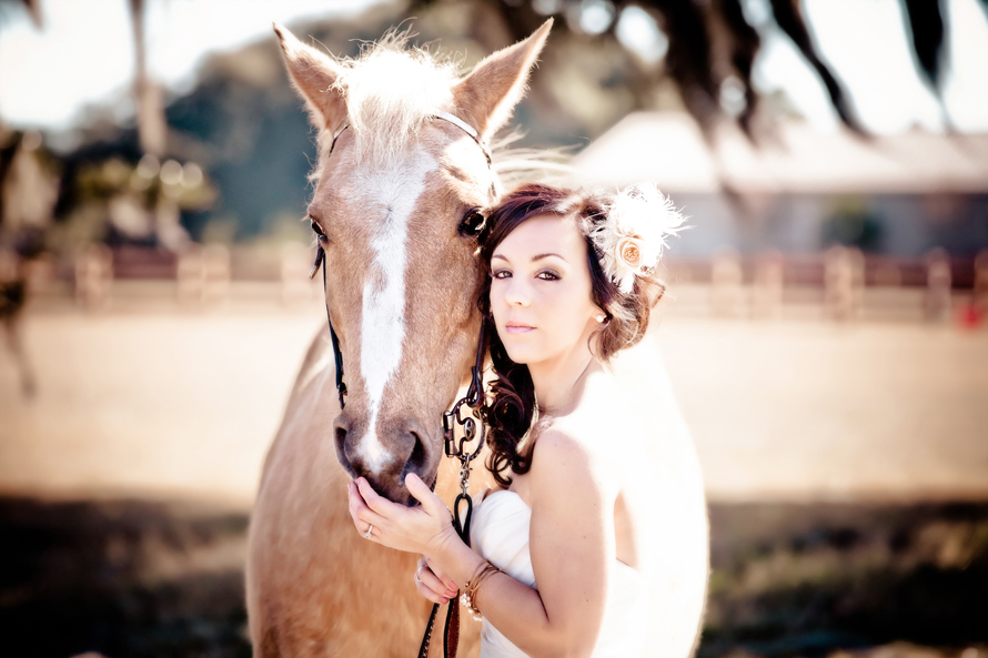 horse_bridal_040313-090